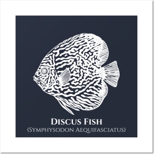 Discus Fish with Common and Scientific Names - aquarium lovers design Posters and Art